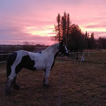 Fenland Mill Ranch